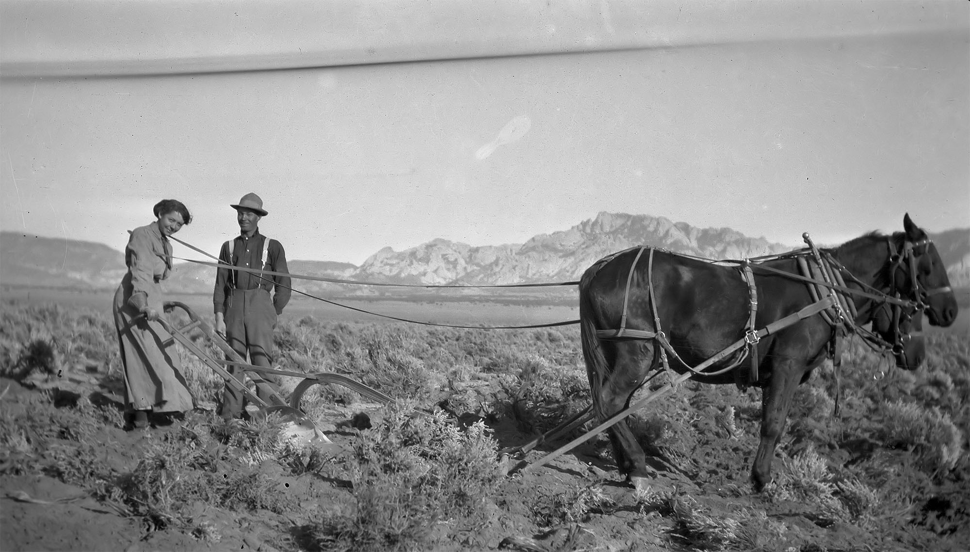 Woman and man plowing sagebrush with horse