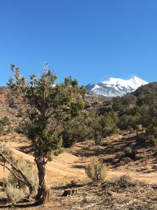 Dry Utah