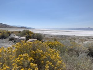 Great Salt Lake